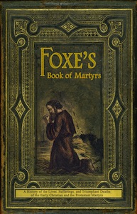 foxesbkcover