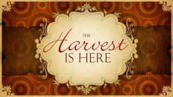 The Harvest of God